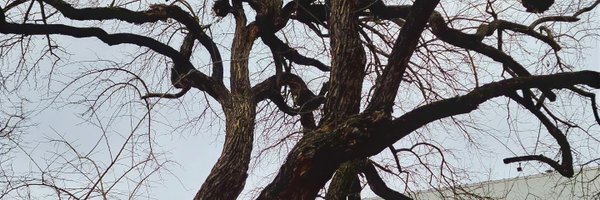 EricJeffKaufman Profile Banner