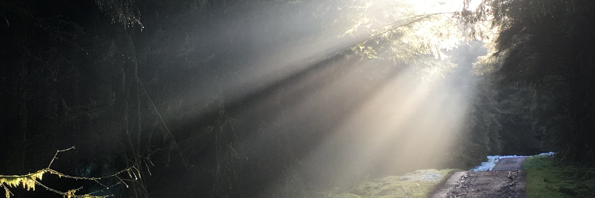 GraemeAdams's profile banner image