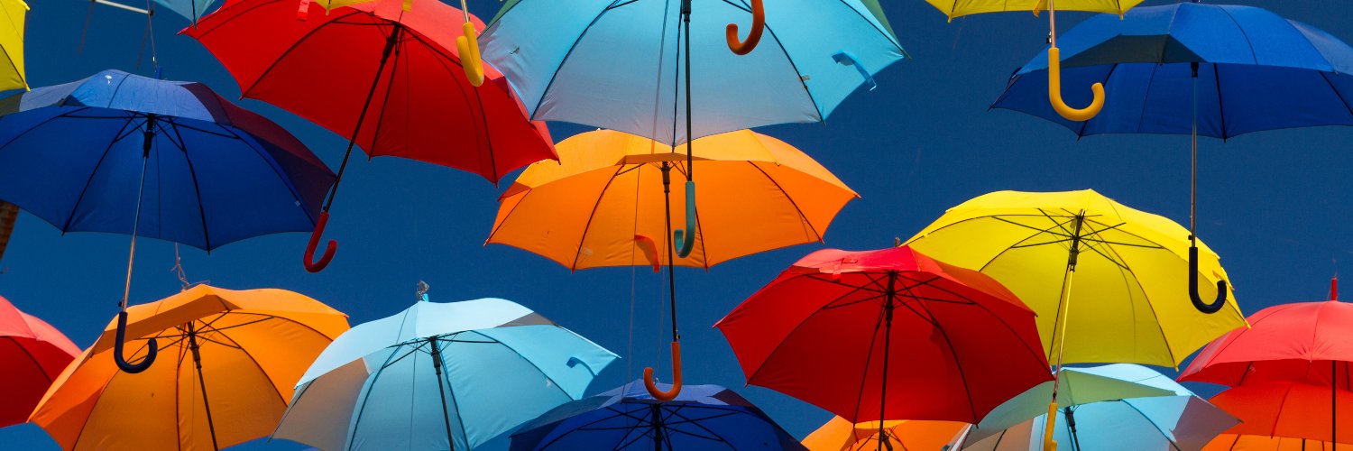 Deborah Hayward banner