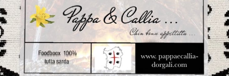 pappaecallia's profile banner image