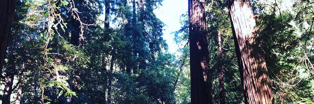 wtran's profile banner image