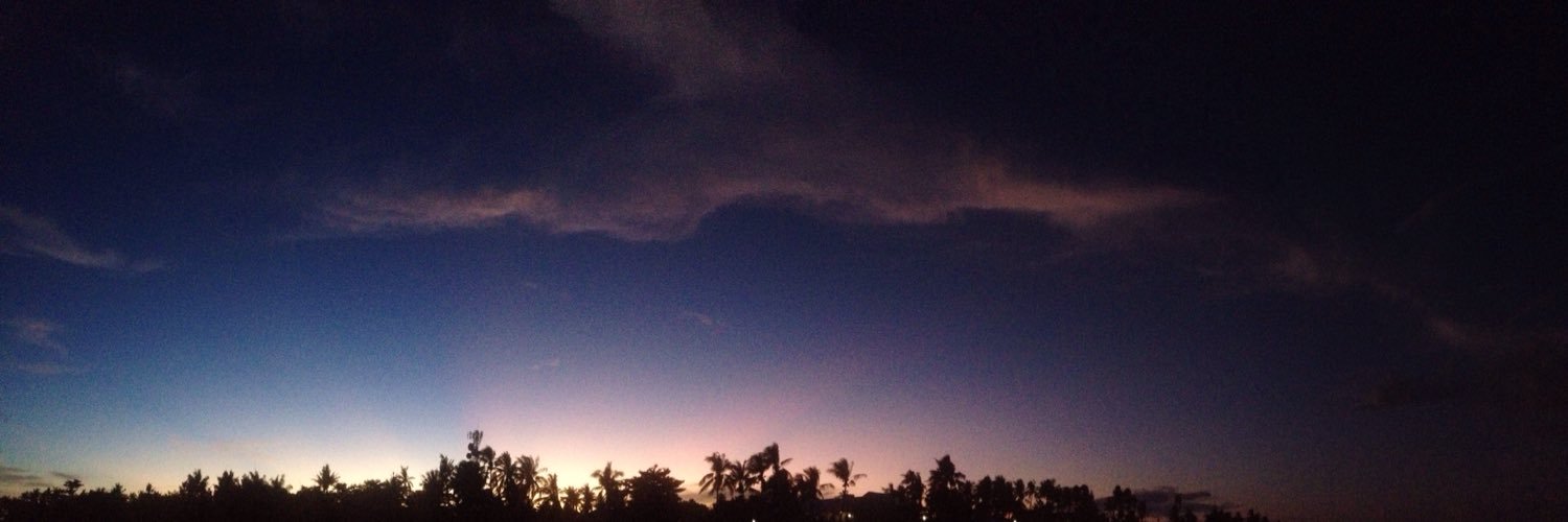 patitcustodio's profile banner image