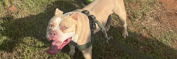 FakeAno Profile Banner