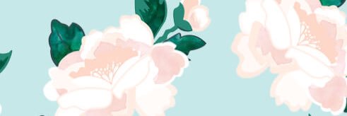 laii's profile banner image