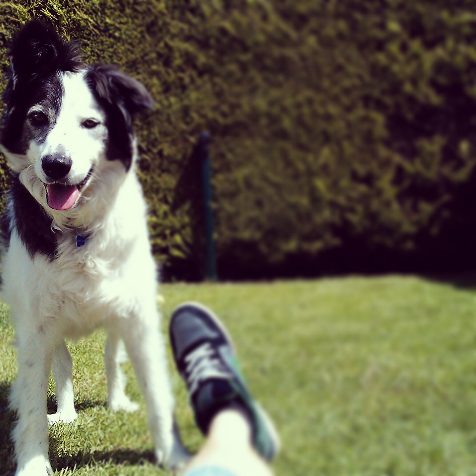 Brian Loughney banner