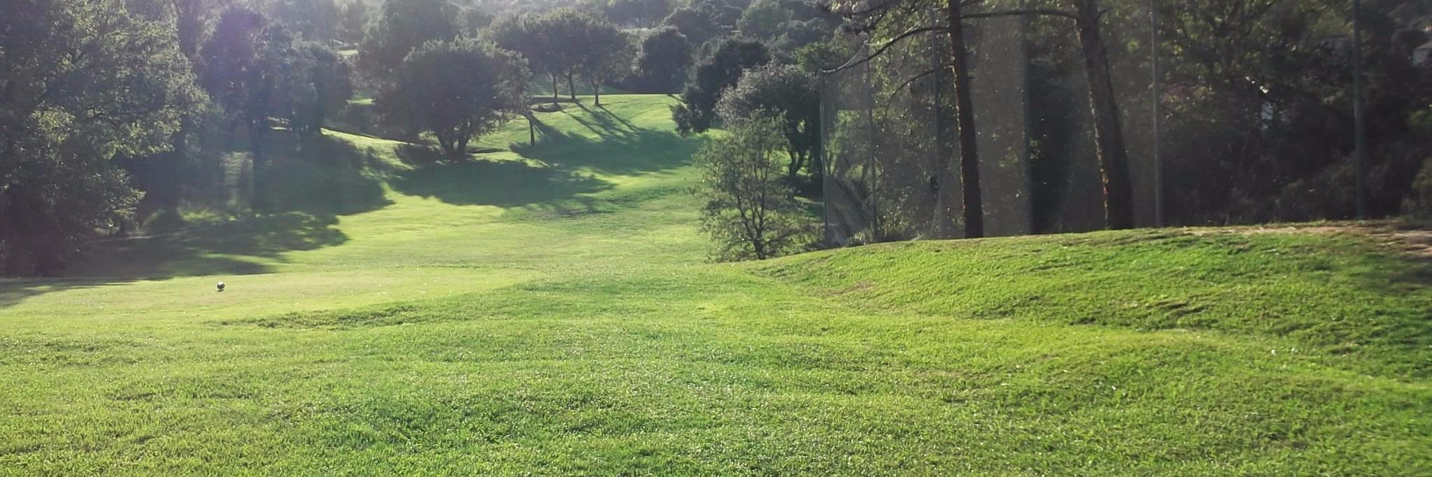 Dominique Paulin banner