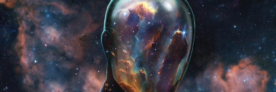TalineFelix3's profile banner image