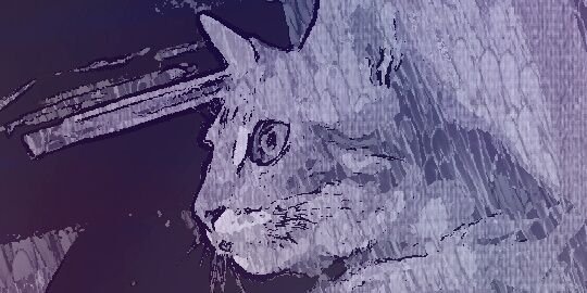 SilviaaMZ's profile banner image