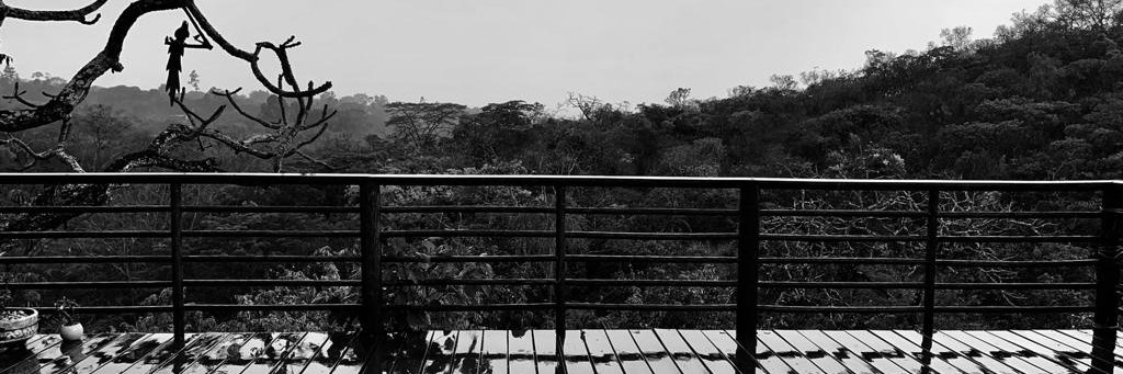 marcelorocha__'s profile banner image