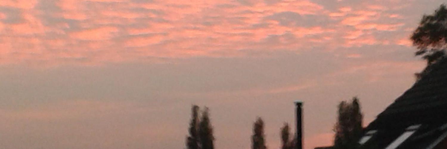 michael bamber banner