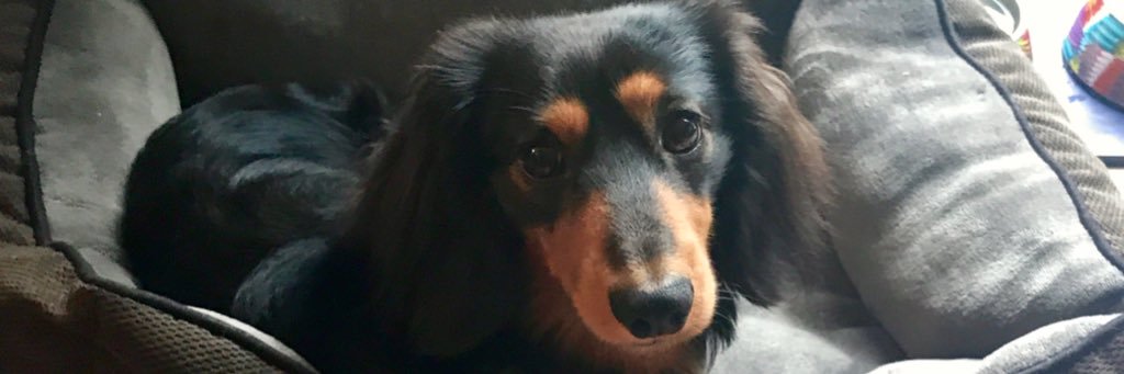 adebailie's profile banner image