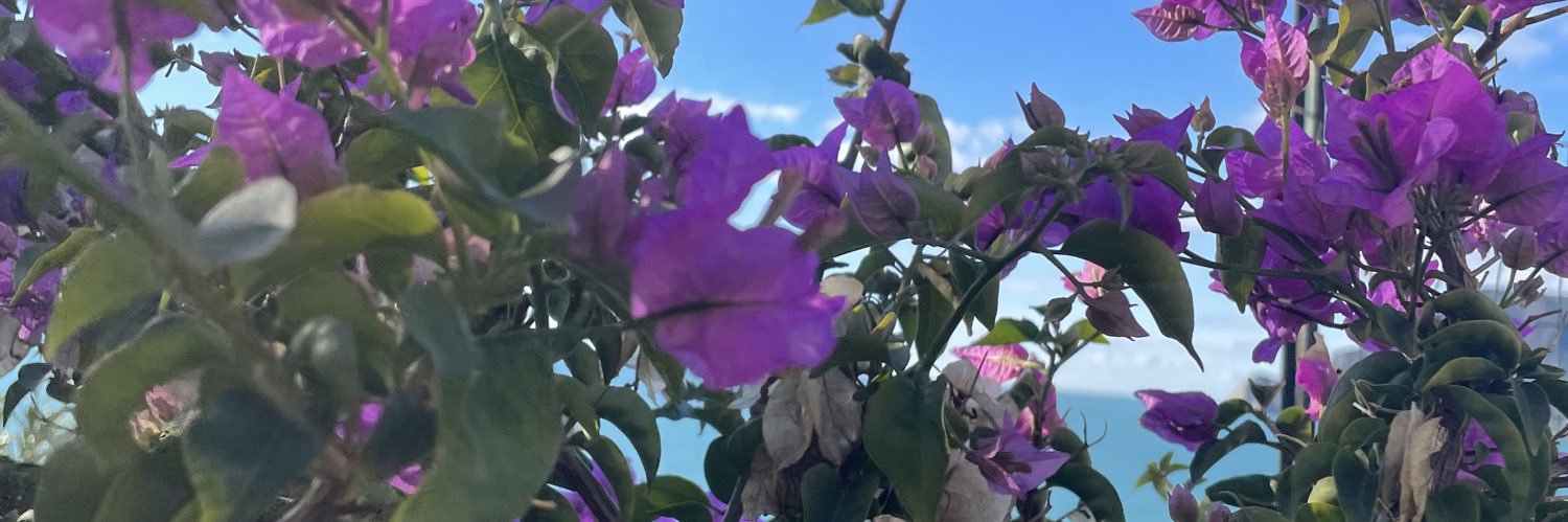 umkatafani's profile banner image