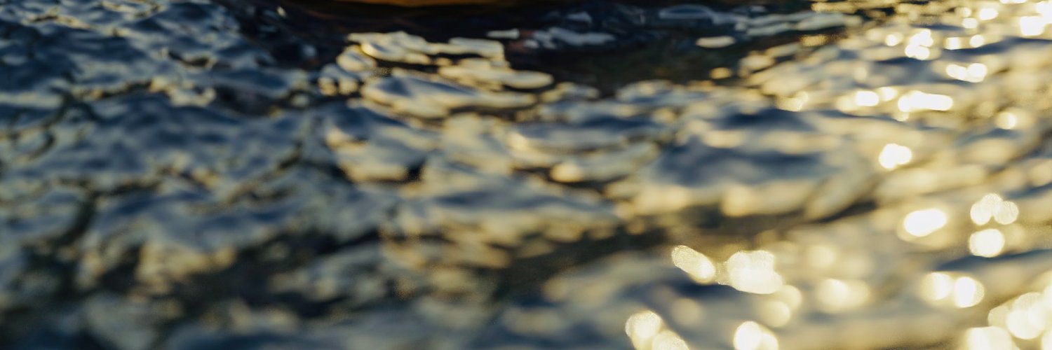 joaomig's profile banner image