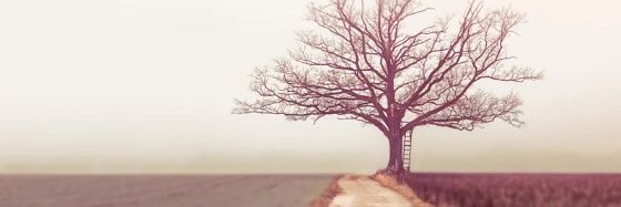 CreativeSoul49's profile banner image