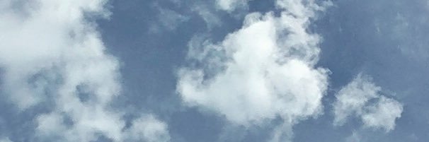 buckyritto's profile banner image