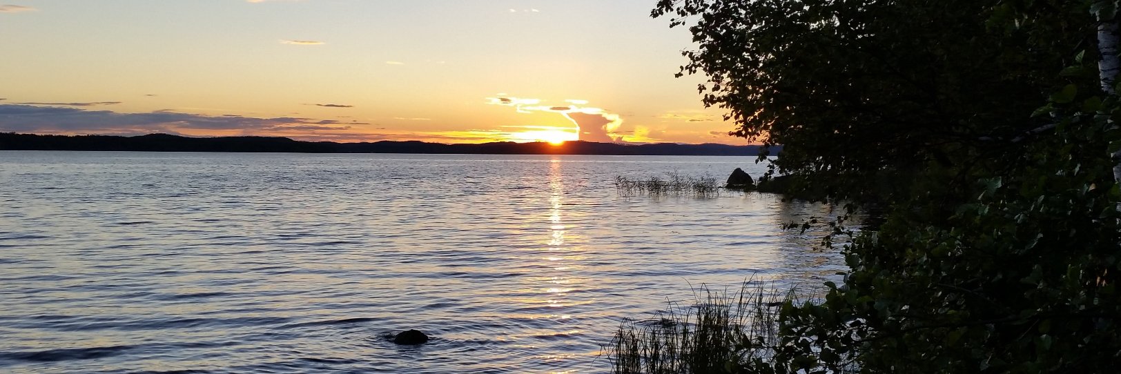 Samuli Ripatti banner