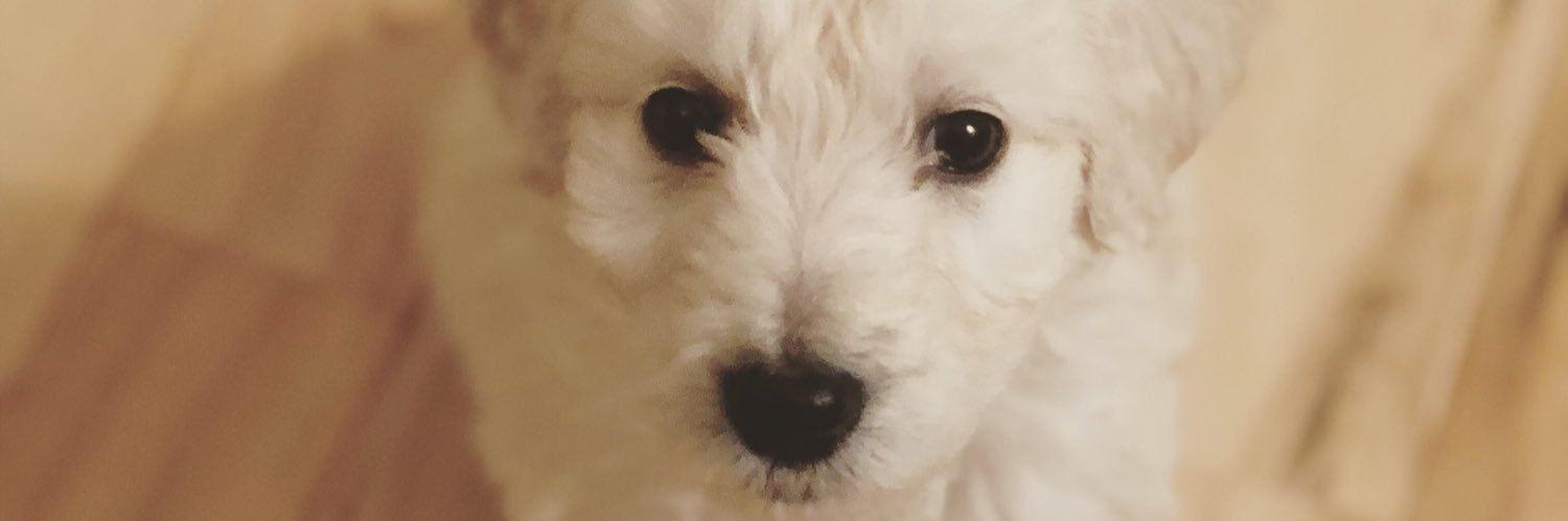addyson18's profile banner image