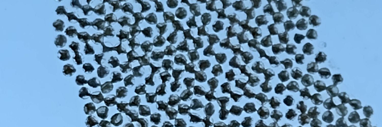 alivespe's profile banner image