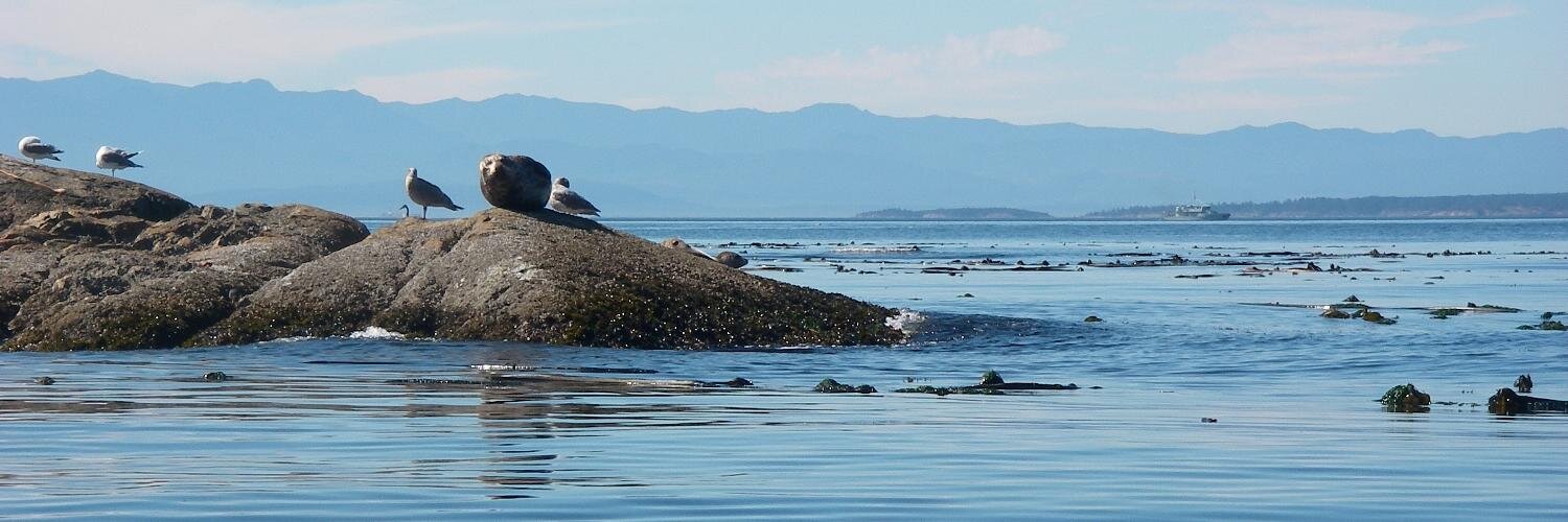 VicWaterfront's profile banner image