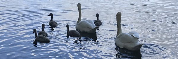 deadgood Profile Banner