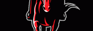 traderraider1's profile banner image