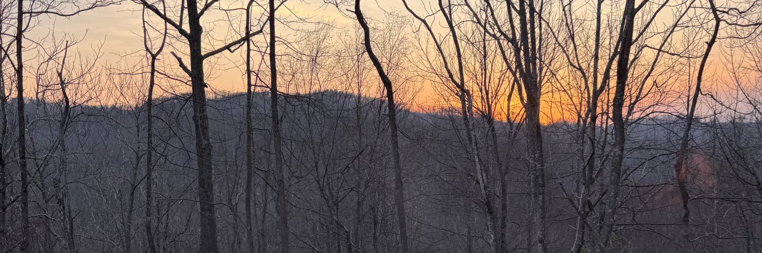 tritchweldy's profile banner image