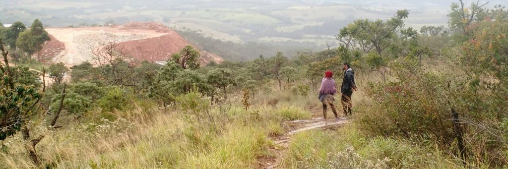 littleni's profile banner image
