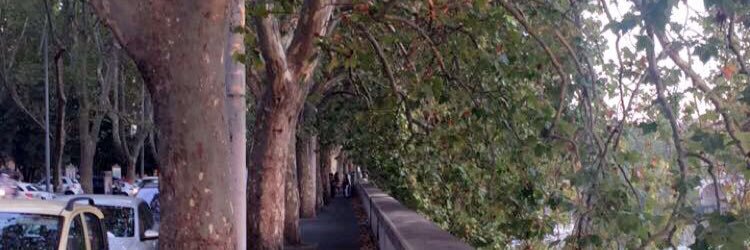 RehamDK's profile banner image