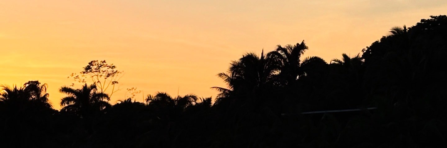 _ycdz_'s profile banner image