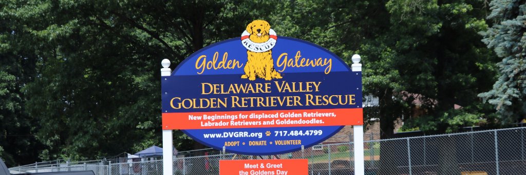 DVGRR's profile banner image