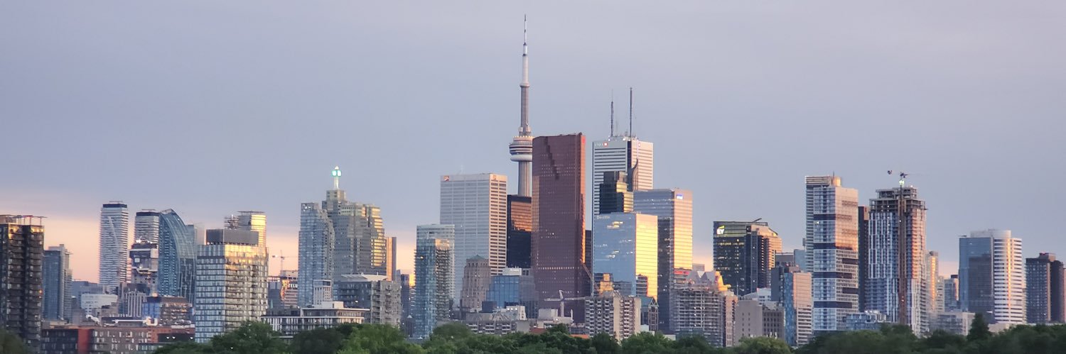 David Rye banner