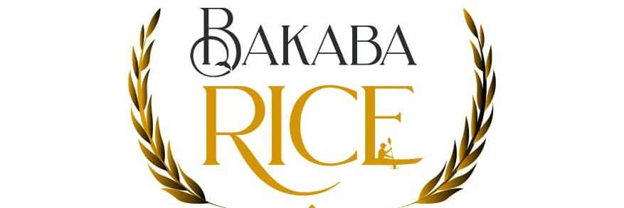 thatabdoolBG's profile banner image