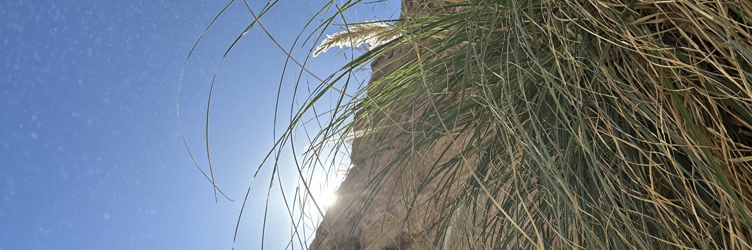ebenor's profile banner image