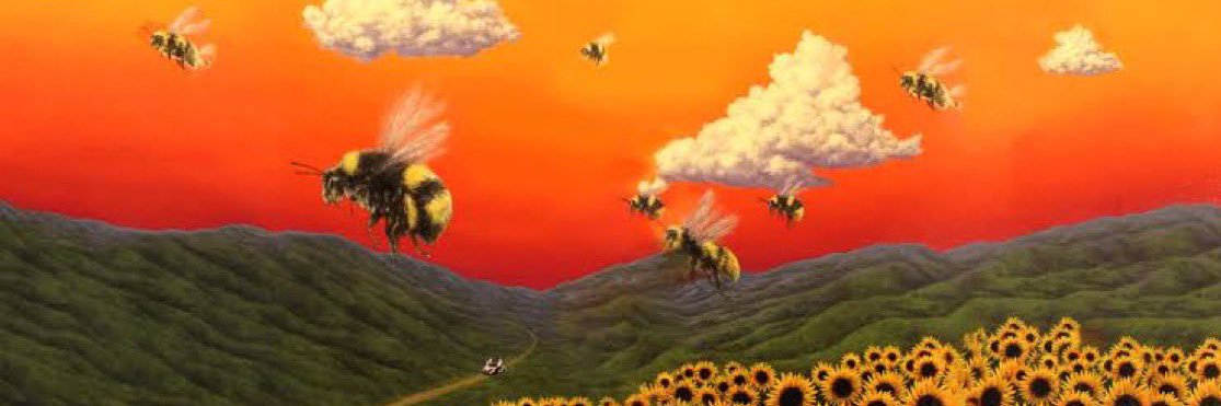 solmmp's profile banner image