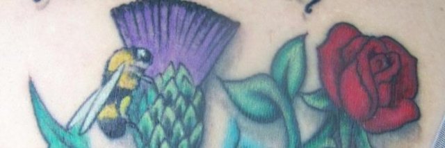 sasylas's profile banner image