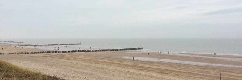 Jessica Heilbrunn banner