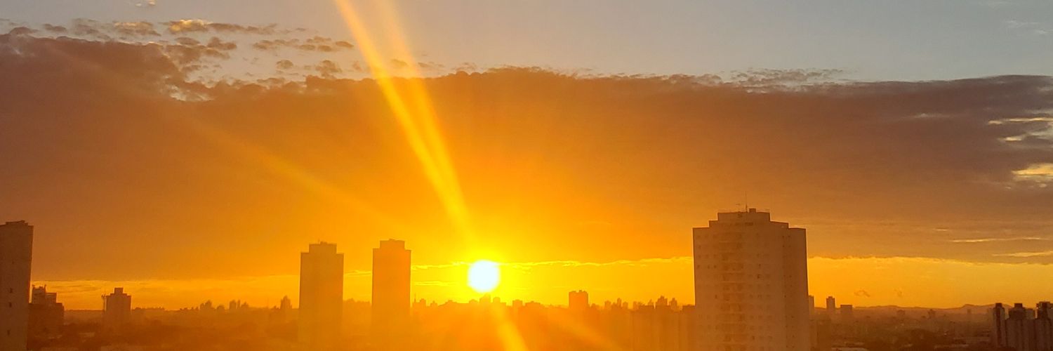 Marcela Sisiliani banner