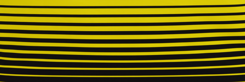 Gavin Smith banner