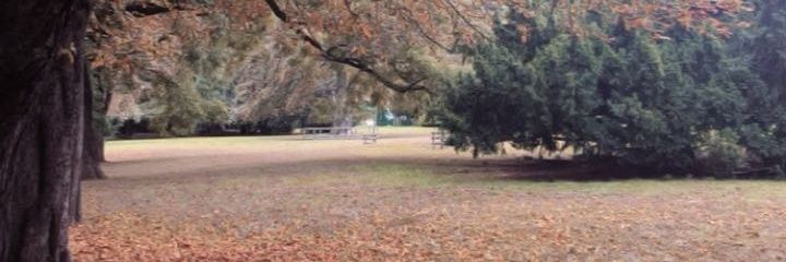 bubuvii's profile banner image