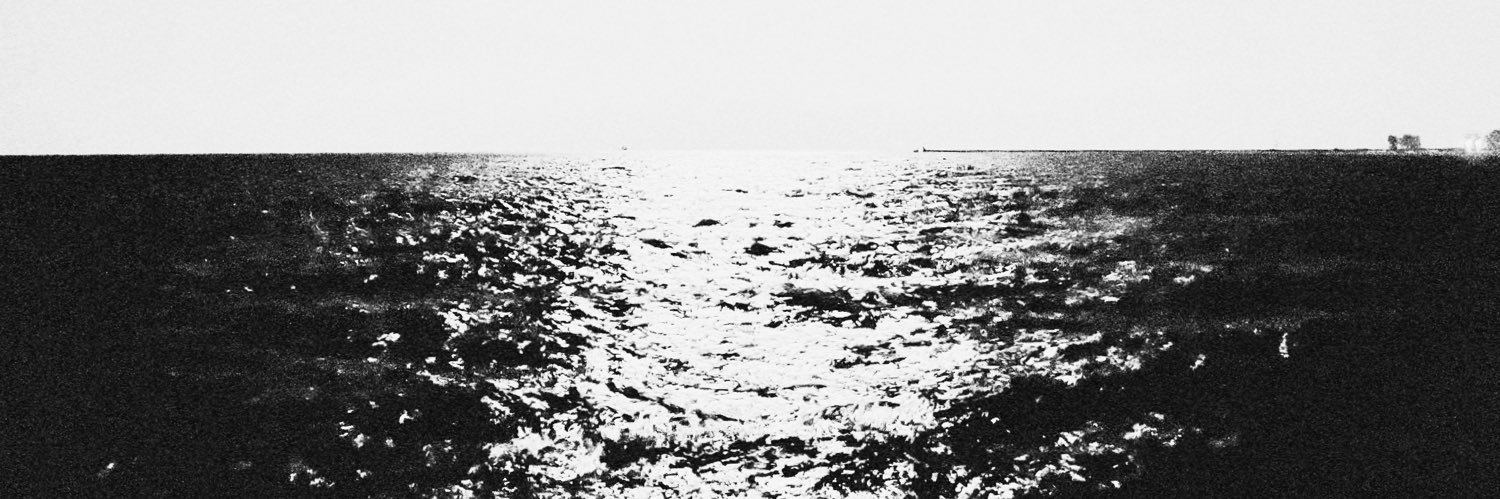 beesprks's profile banner image