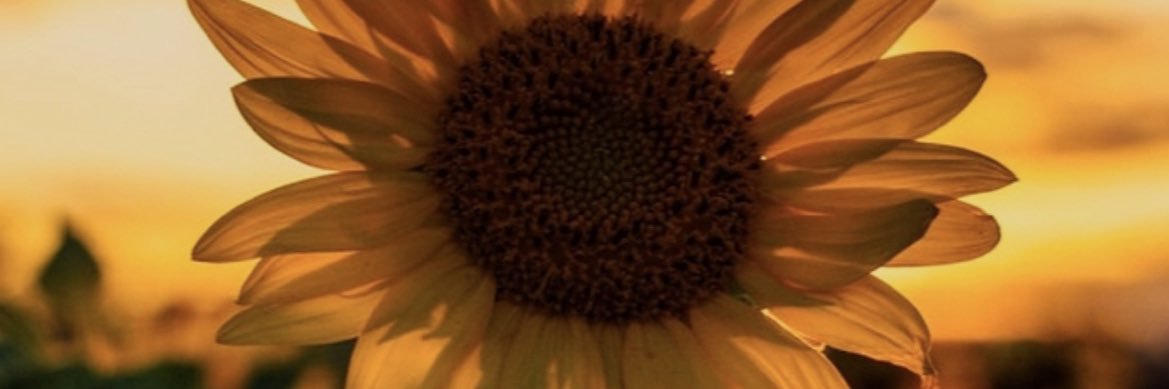 OohGeeBrii's profile banner image