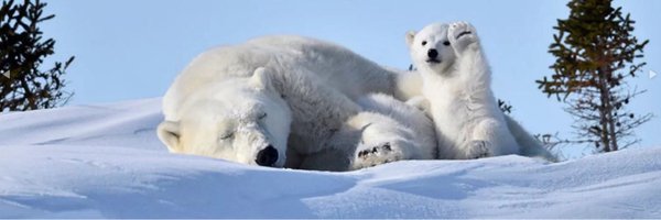 RSYLS Profile Banner