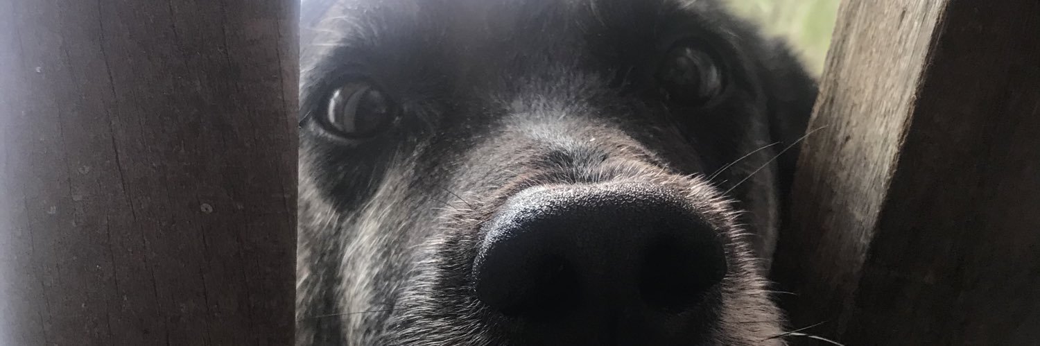 fesfre's profile banner image