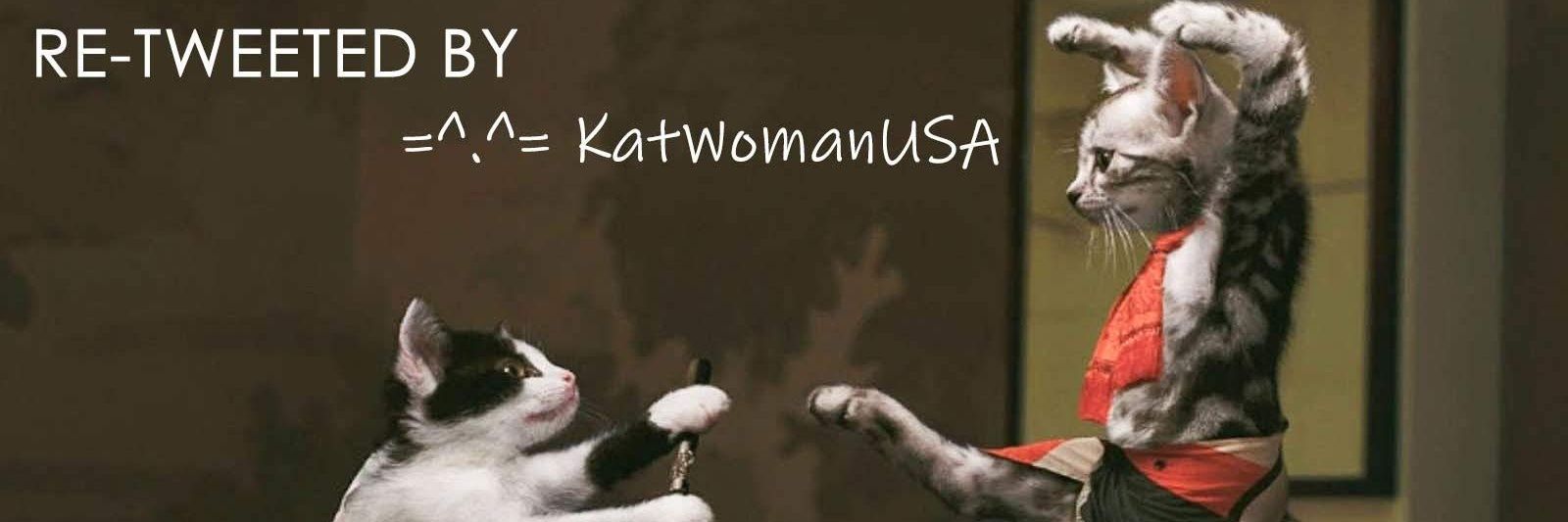 KatWomanUSA's profile banner image