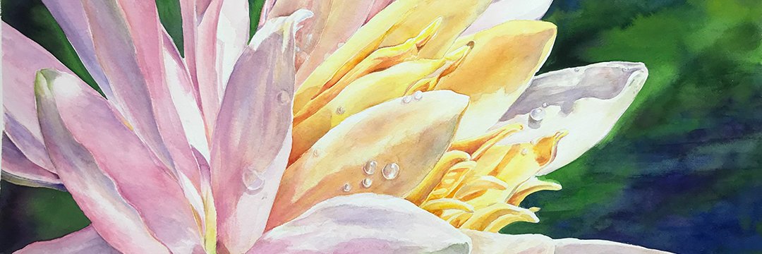 GardenOfSilver's profile banner image