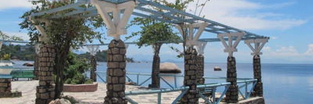 juniamarciaf's profile banner image
