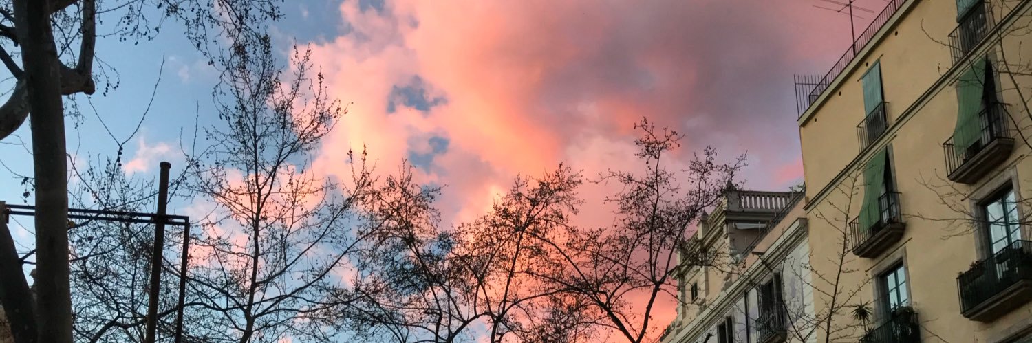 Renniboni's profile banner image