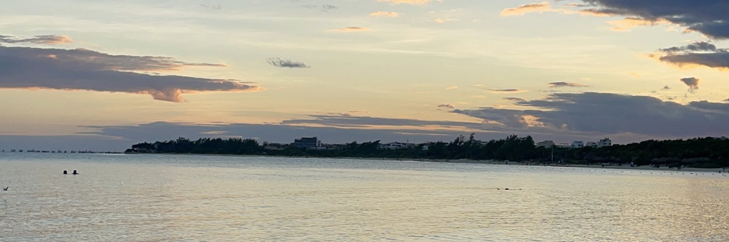 misguided_nvt's profile banner image