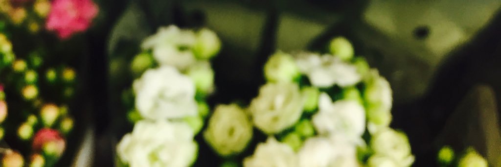 dailypheebs's profile banner image