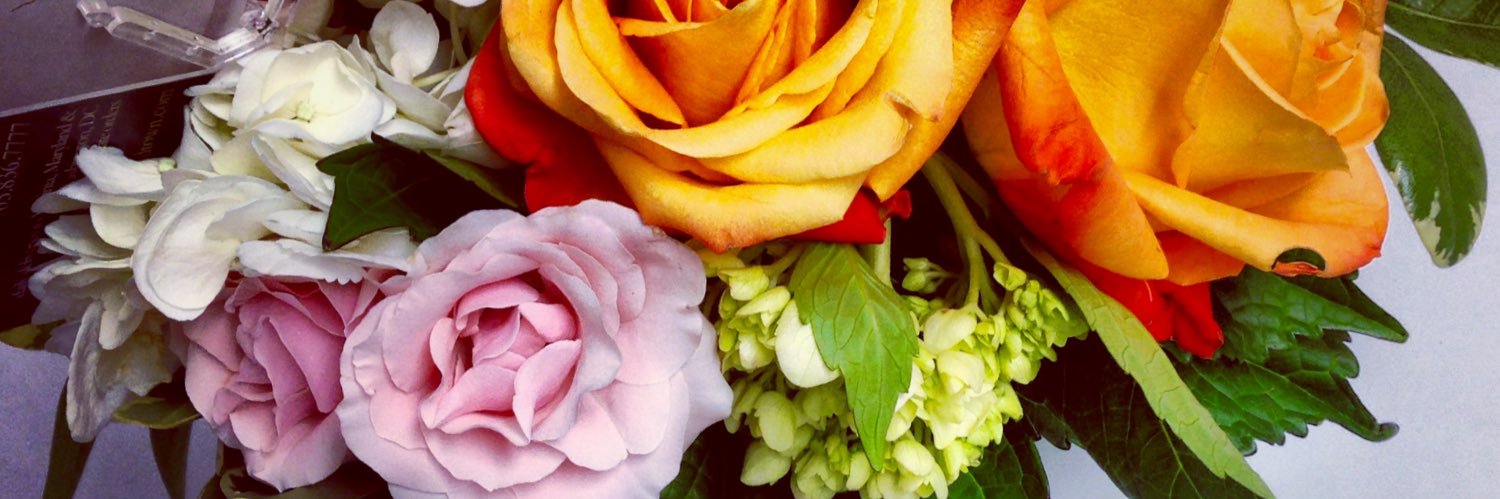 AnnaLeeRoze's profile banner image